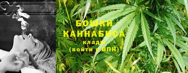 apvp Аркадак